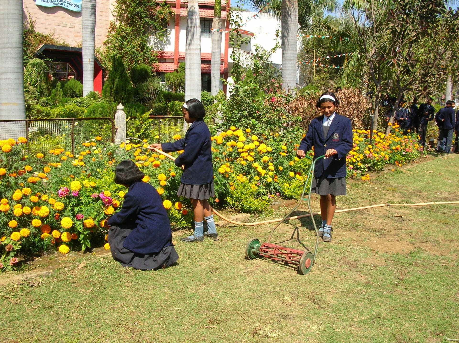 Three girl students gardening in a marigold flowerbed in front of the school