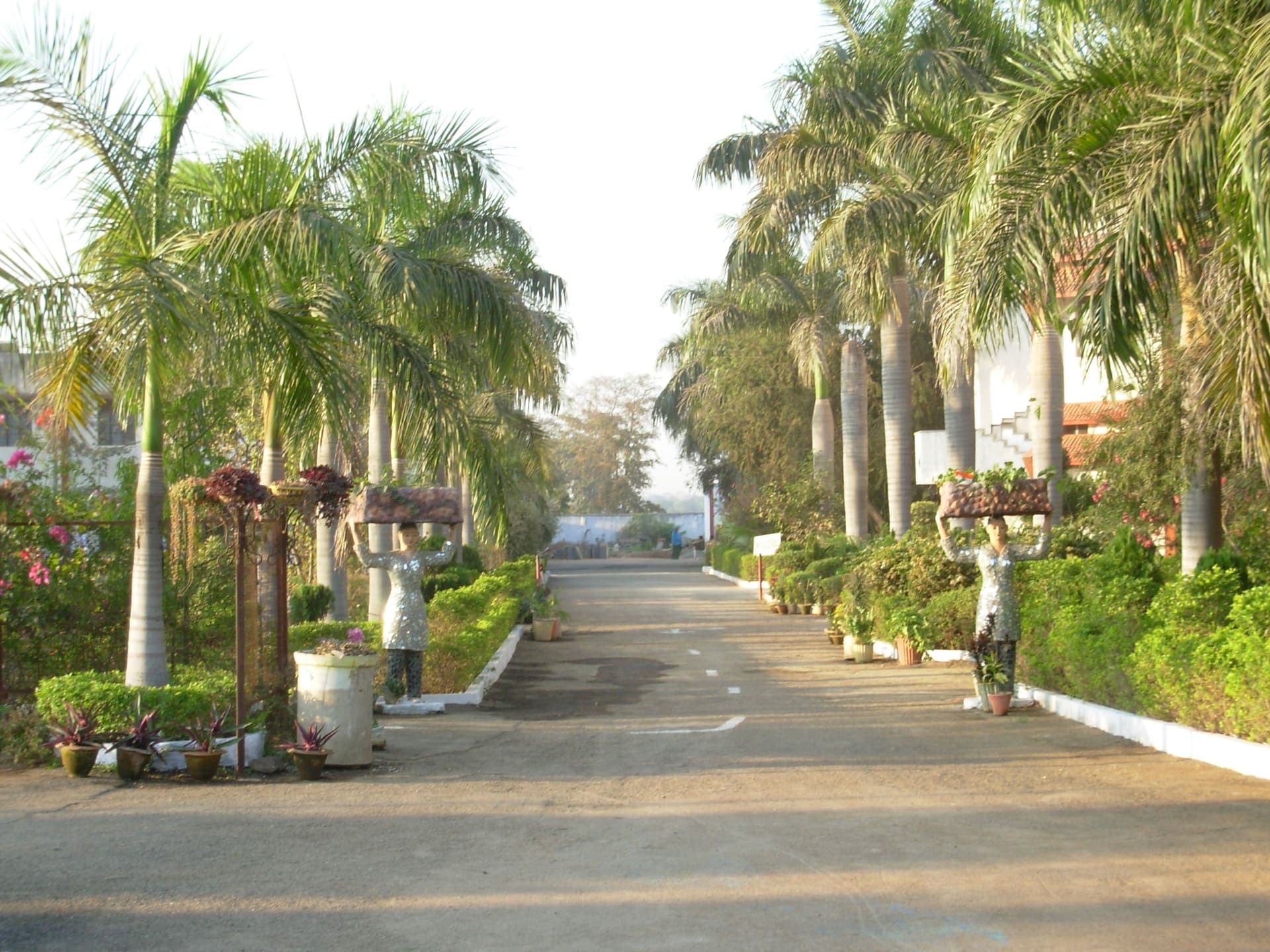The palm-lined approach drive into Radiant Public School