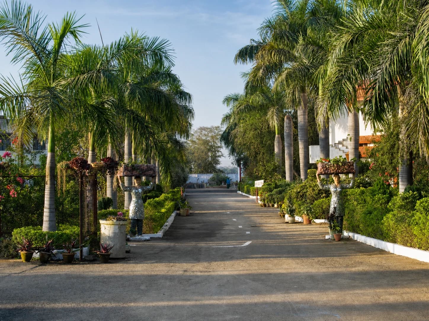 The palm-lined approach drive into Radiant Public School